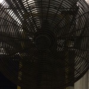 Meet your Posher, Warren